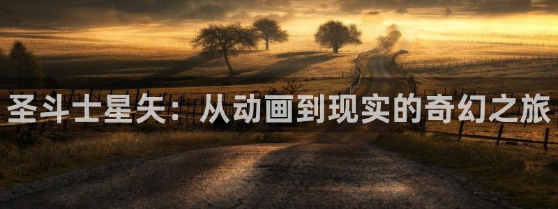 久久动漫h：圣斗士星矢：从动画到现实的奇幻之旅