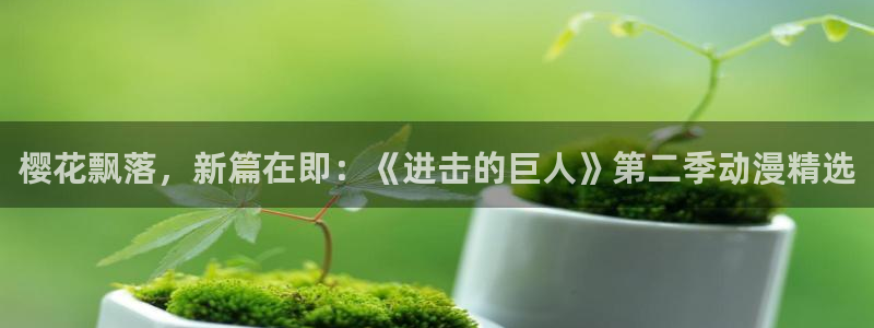 久久动漫黄：樱花飘落，新篇在即：《进击的巨人》第二季动漫精选
